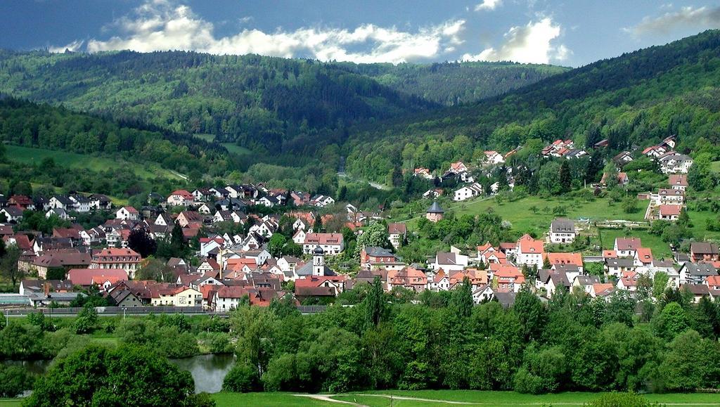 Hotel Krone Laudenbach  Eksteriør billede